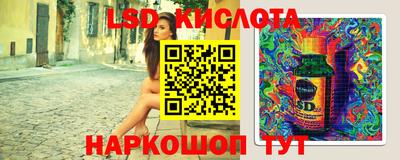 прущие грибы Абакан