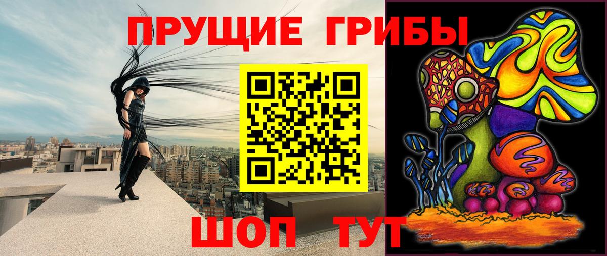 Азнакаево  Галлюциногенные грибы прущие грибы  Вход с VPN 