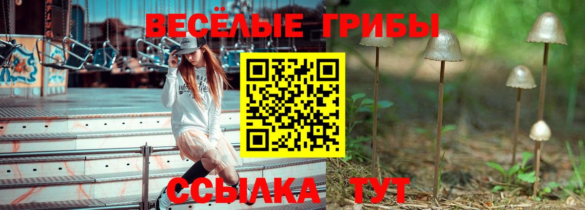 Галлюциногенные грибы прущие грибы Азнакаево