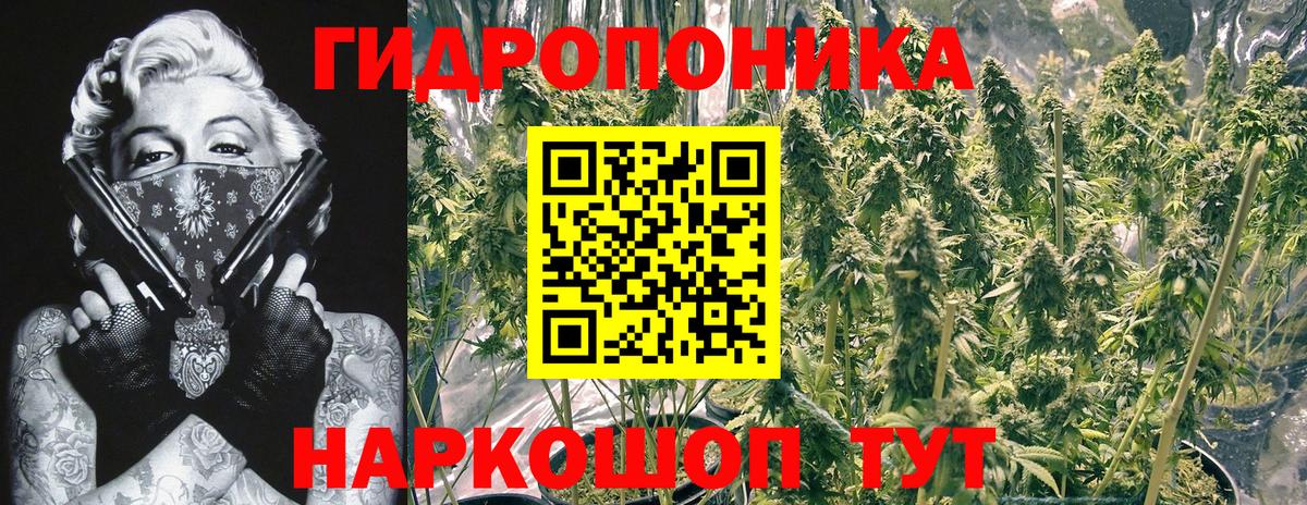 Каннабис Amnesia Азнакаево